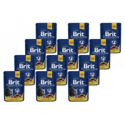 BRIT PREMIUM CAT Łosoś i Pstrąg w sosie 12x 100g