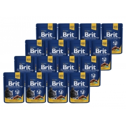 BRIT PREMIUM CAT Łosoś i Pstrąg w sosie 24x 100g