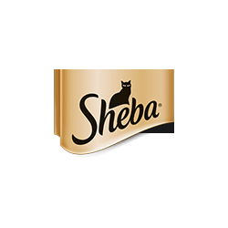 Sheba
