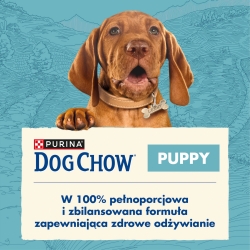 Dog Chow Puppy karma dla szczeniaka sucha z jagnięciną 2,5 kg