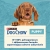 Dog Chow Puppy karma dla szczeniaka sucha z jagnięciną 2,5 kg