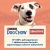 PURINA Dog Chow Sensitive Salmon 2,5kg